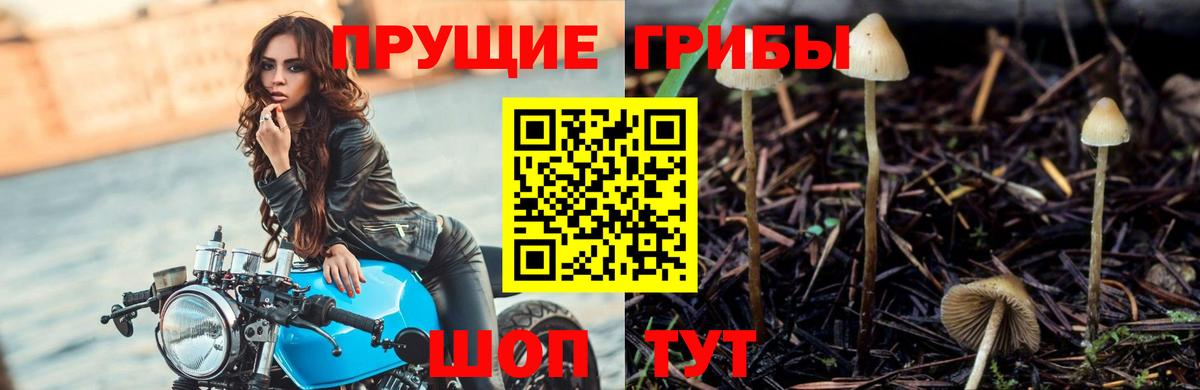 где продают   Вход с VPN  Галлюциногенные грибы ЛСД  Новомосковск  Галлюциногенные грибы ЛСД 